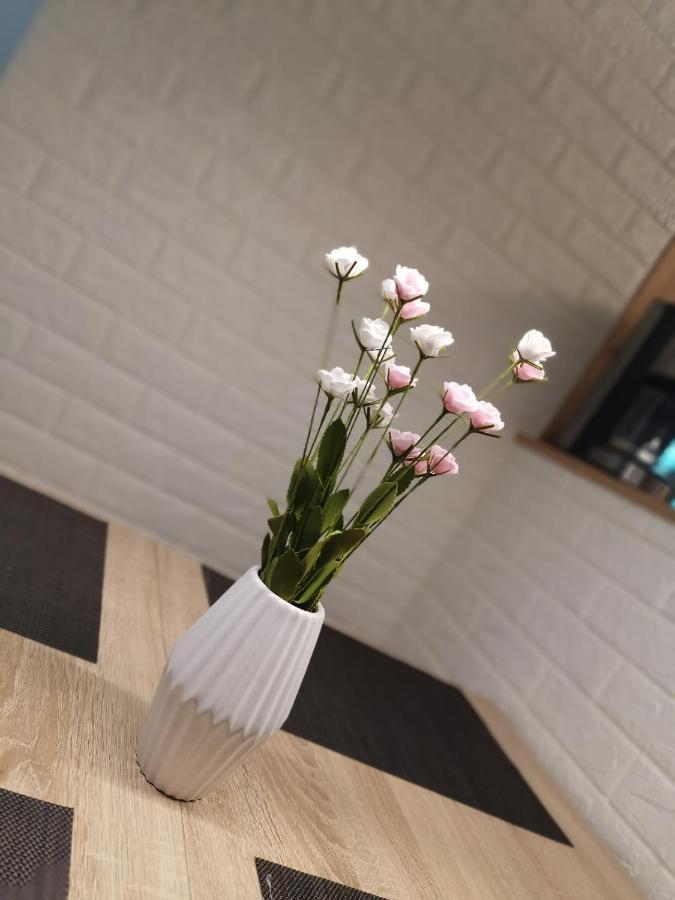 Appartement Jasmin Rust